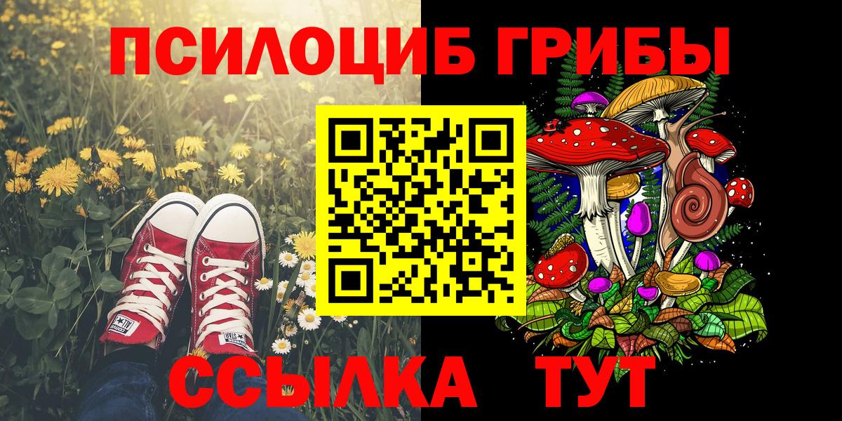 Псилоцибиновые грибы MAGIC MUSHROOMS Казань