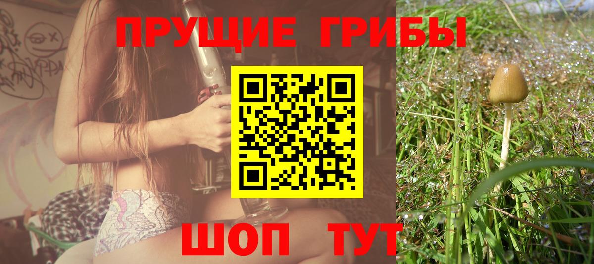Псилоцибиновые грибы Magic Shrooms  Вход с VPN  Казань 
