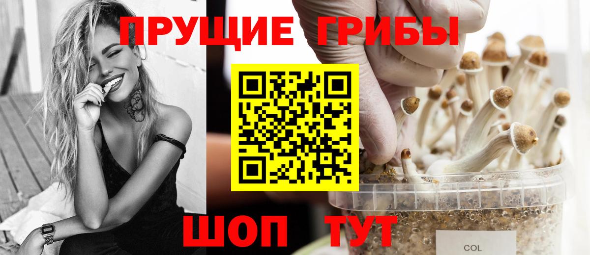 Галлюциногенные грибы прущие грибы  Галлюциногенные грибы мицелий  Казань 